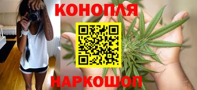 PSILOCYBIN Донской