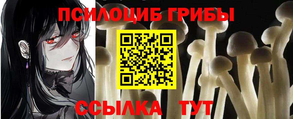 Кудымкар  что такое наркотик  Галлюциногенные грибы прущие грибы  Вход с VPN  Псилоцибиновые грибы Psilocybe 